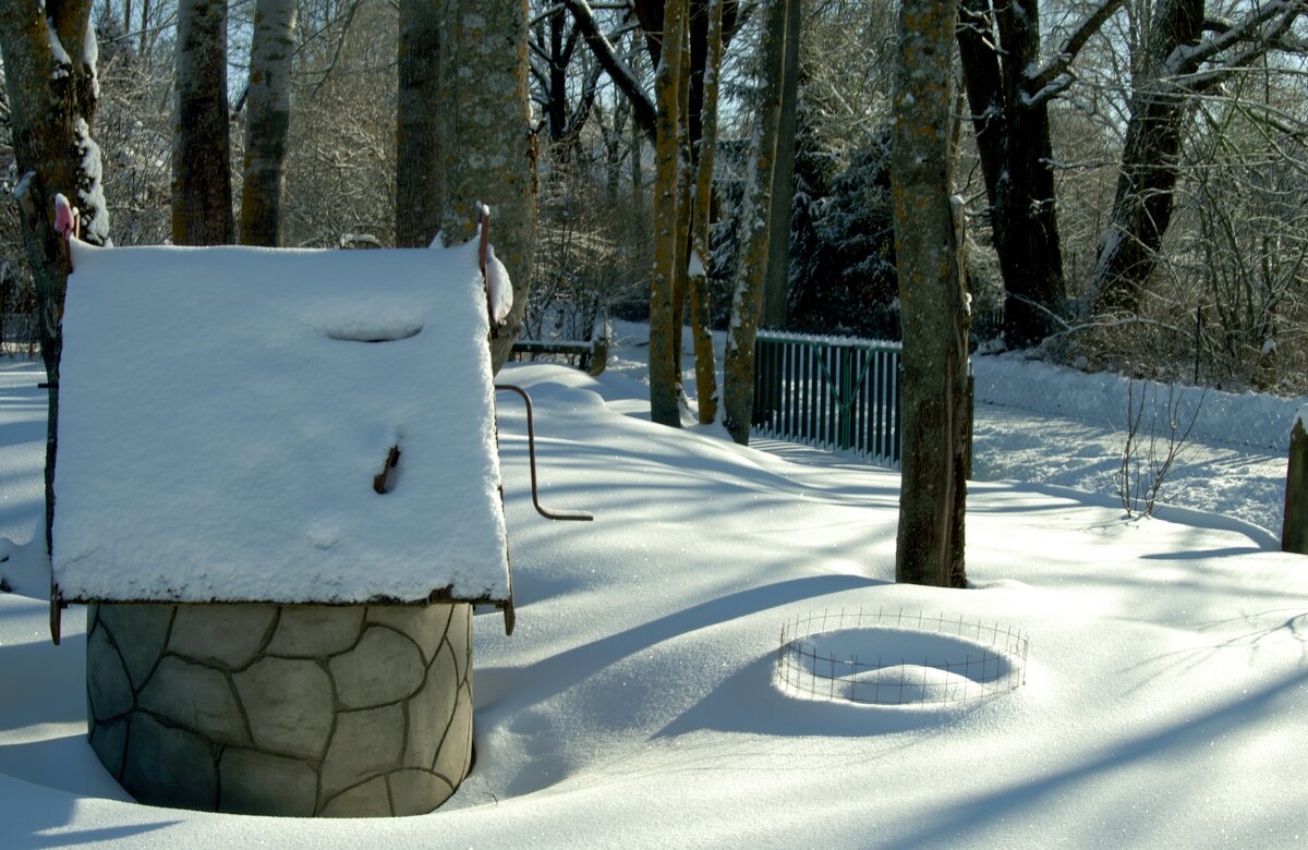 Зима - Валерия Ширковцова