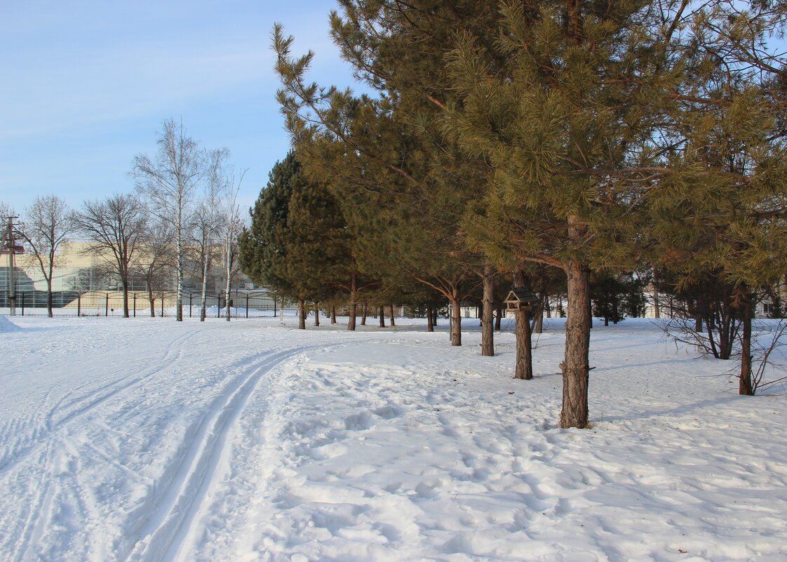 февраль - Венера Чуйкова