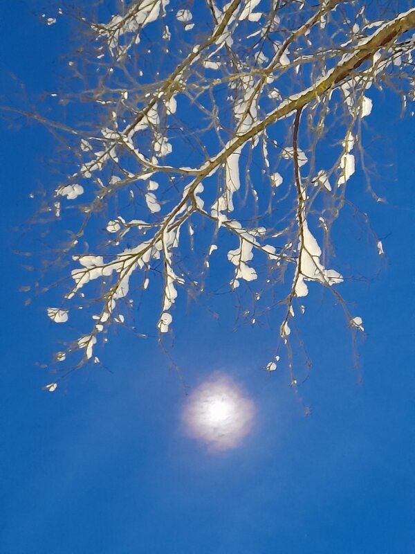 Лунная композиция - Ирина Лесиканич