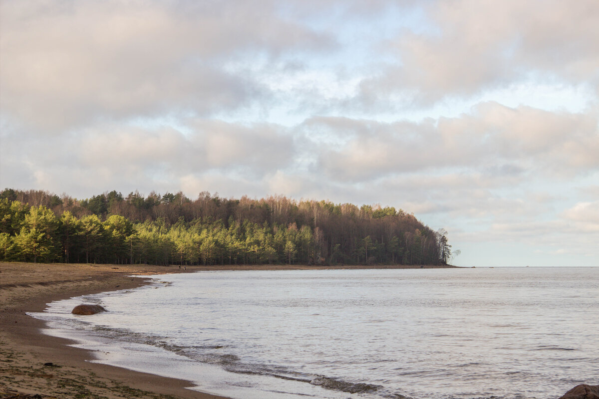 Назаливе - yav 110455