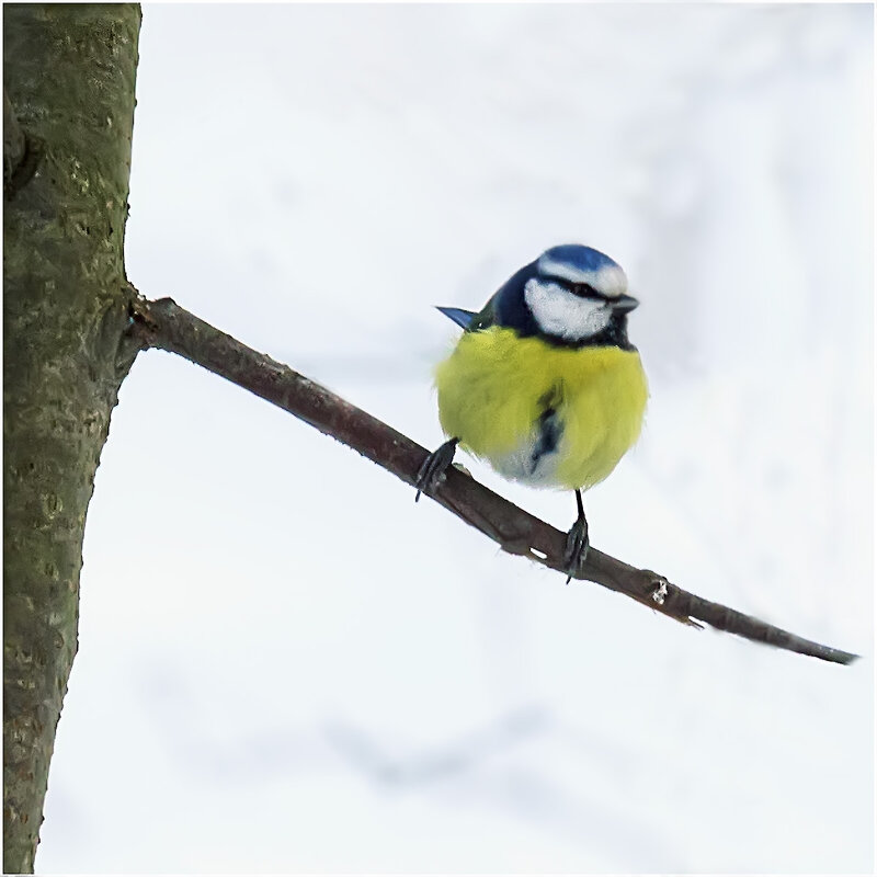 Скоро весна ! - Валентин Котляров