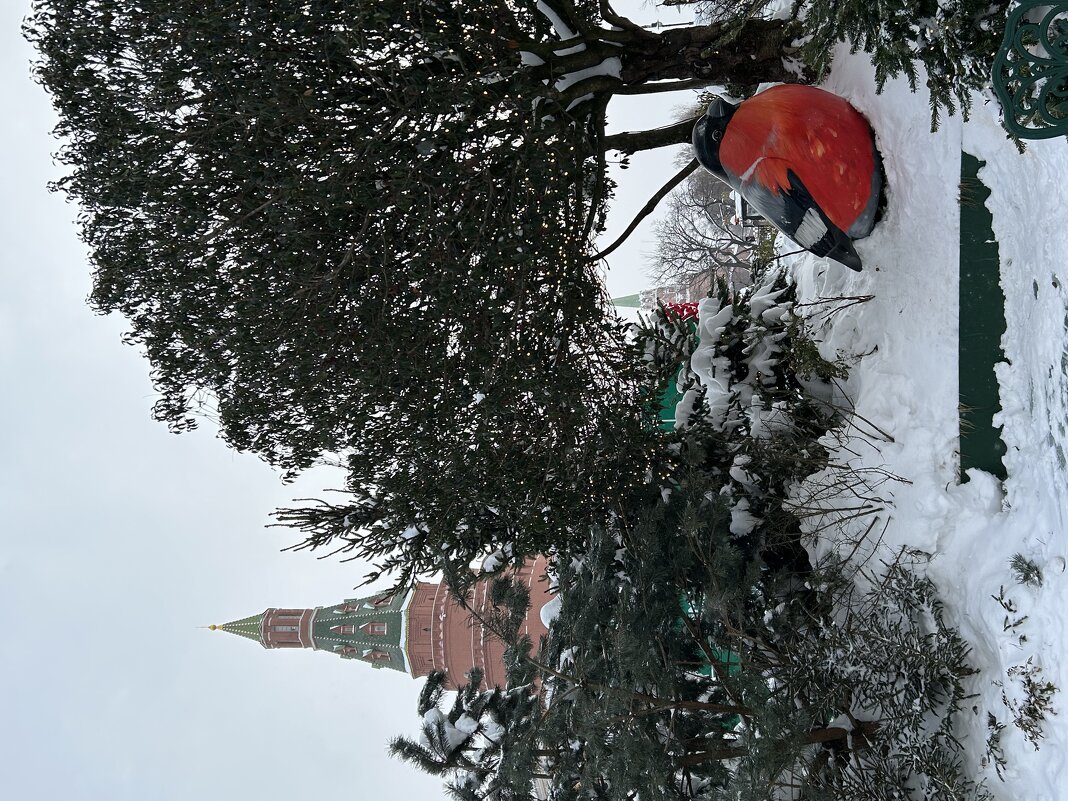 Может лес,может Кремль - Натали 