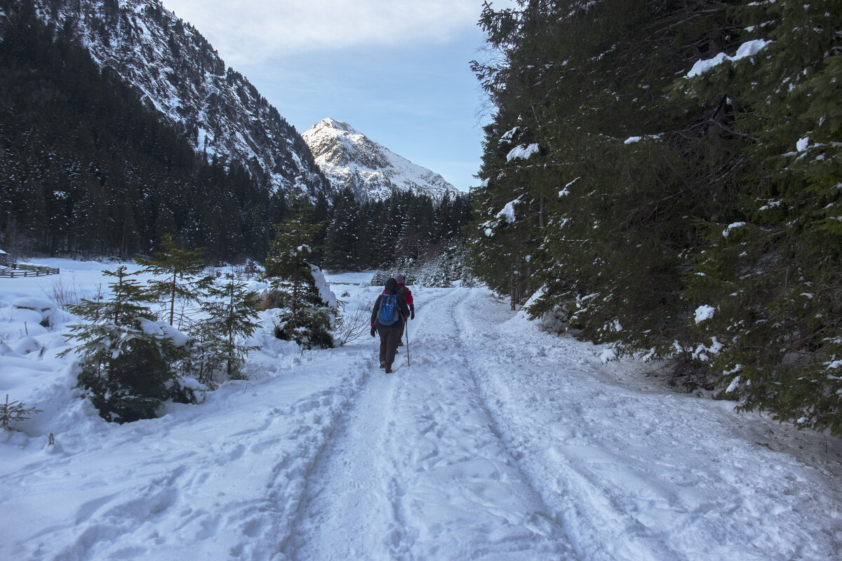 ** - Александр Липовецкий