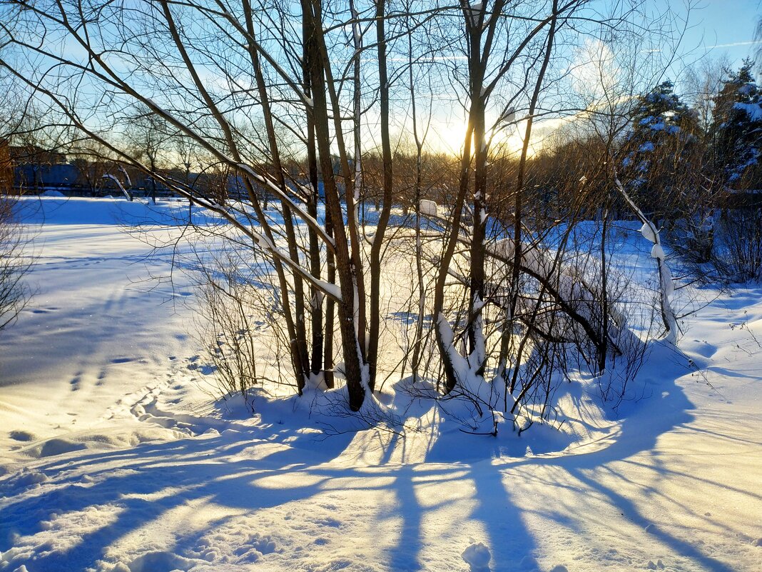 * * * - Андрей Лукьянов