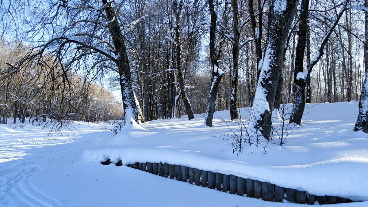 Зимний парк. - Милешкин Владимир Алексеевич Зимний парк. - Милешкин Владимир Алексеевич