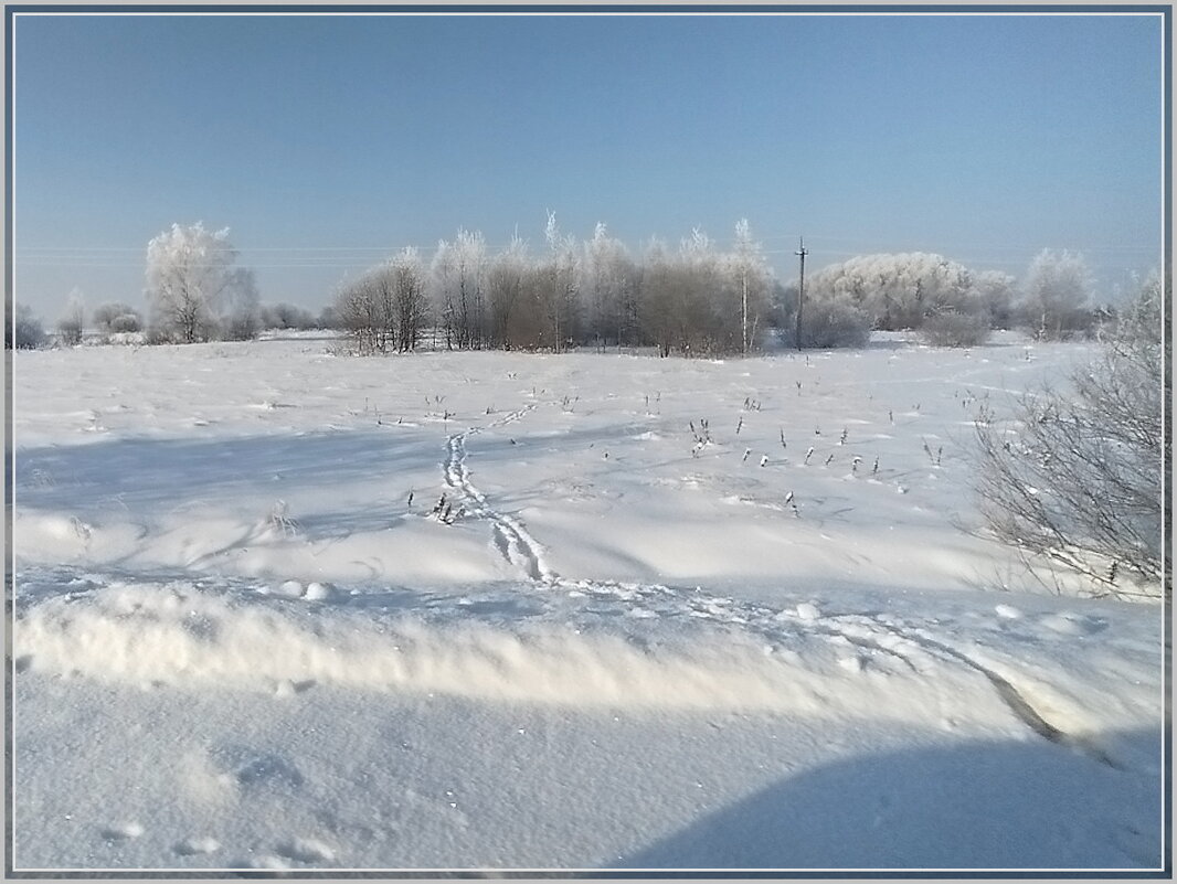 Река Гжать - Ольга Довженко Река Гжать - Ольга Довженко