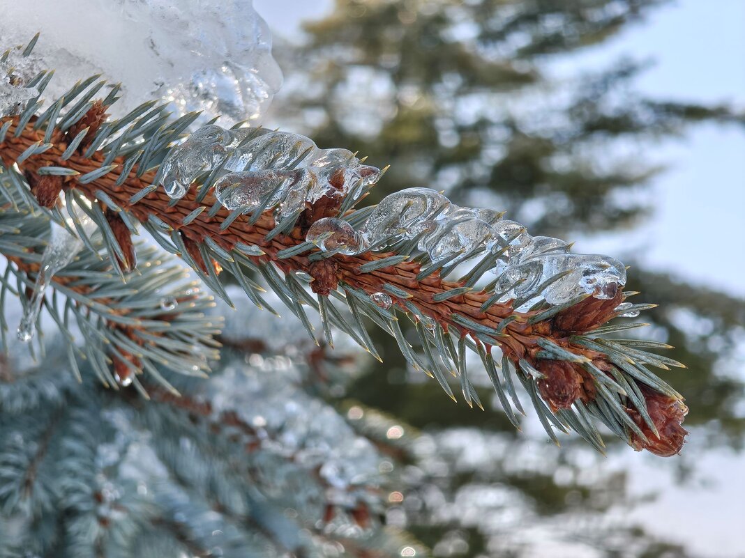 Обледенение - Валерий Ткаченко