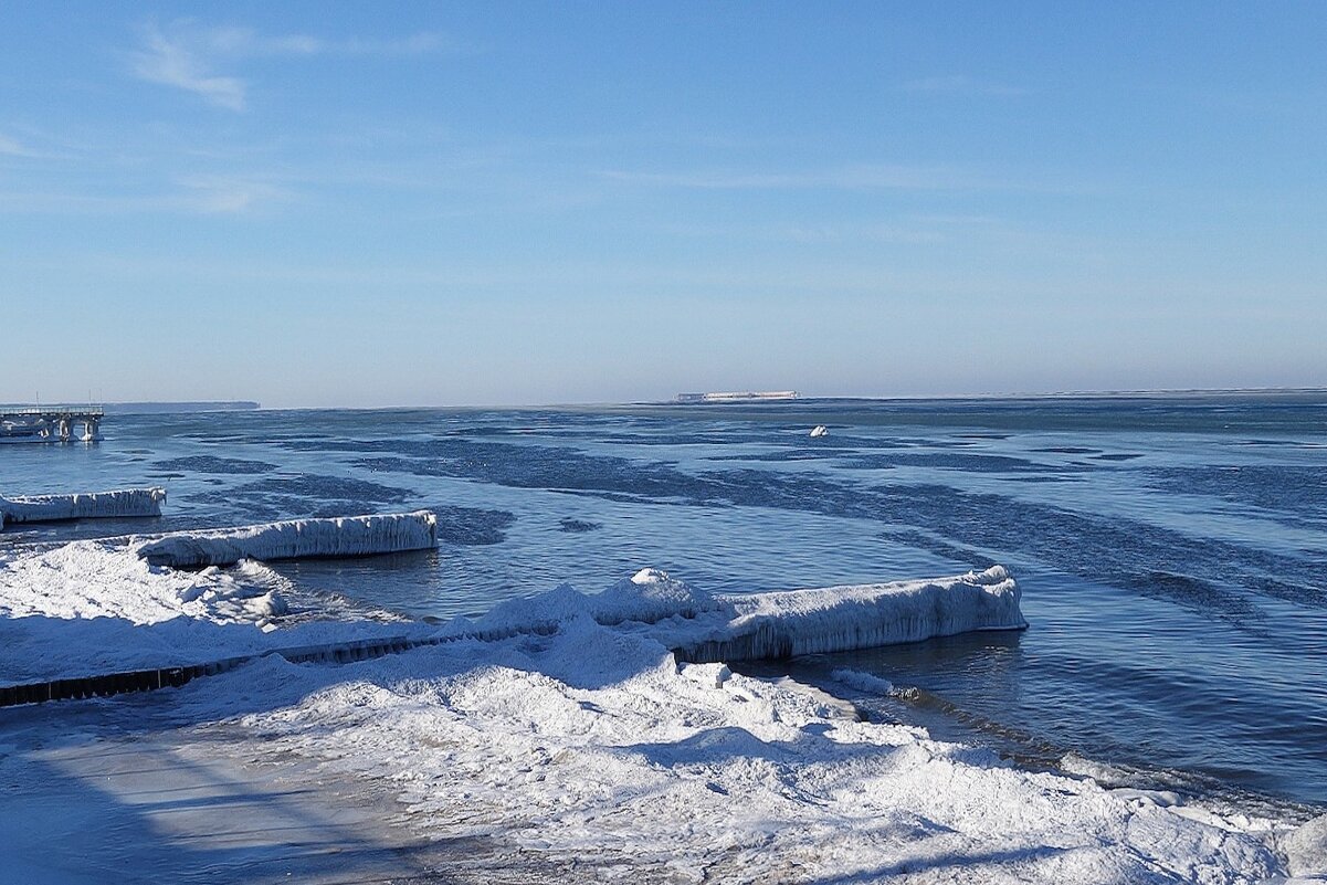 Зеленоградск, 31 января 2026 года - Рита Симонова
