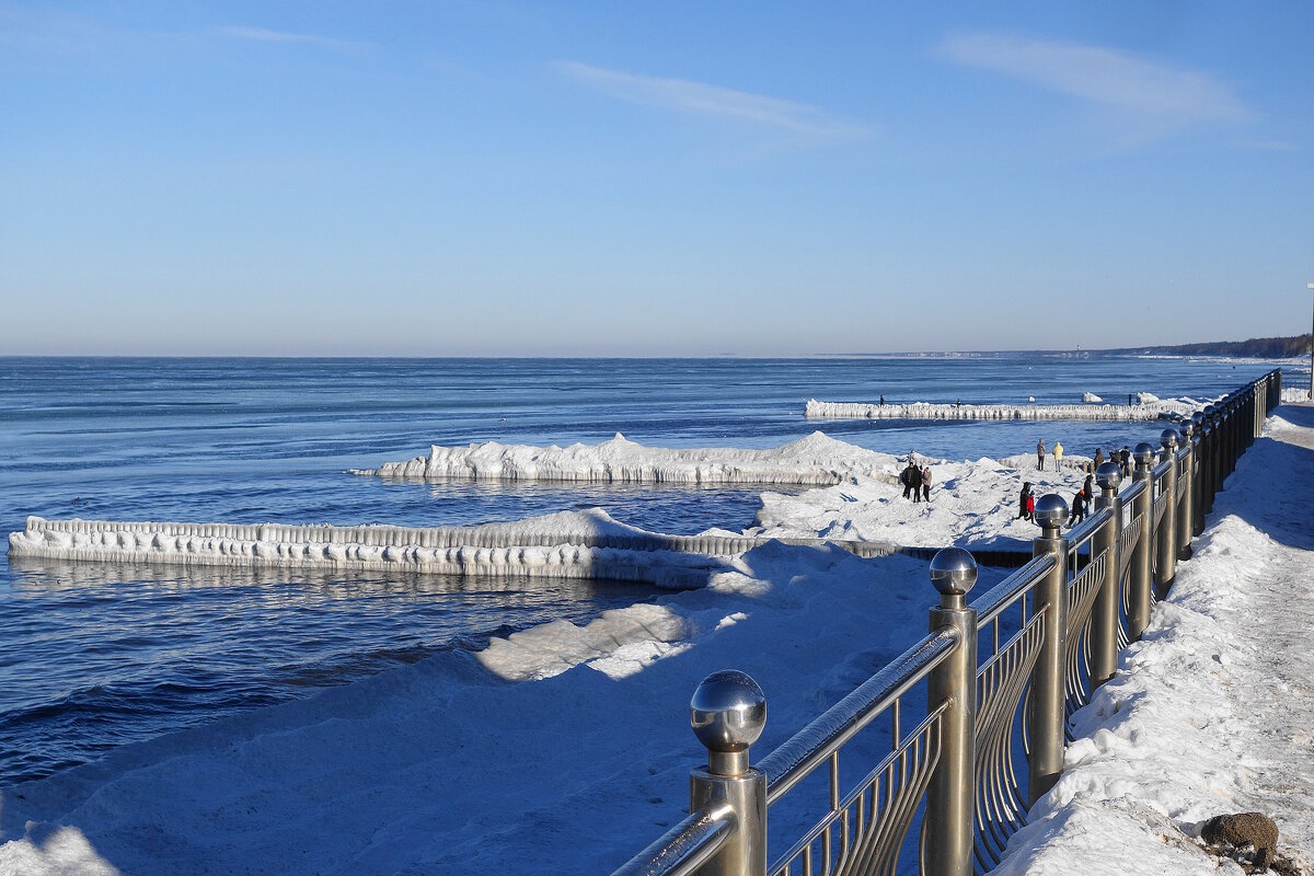 Зеленоградск, 31 января 2026 года - Рита Симонова