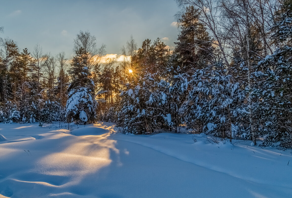 Январский вечер - Андрей Дворников