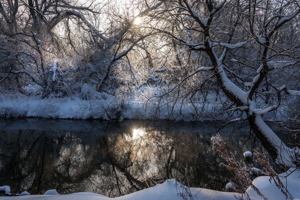 *** - Владимир Безбородов