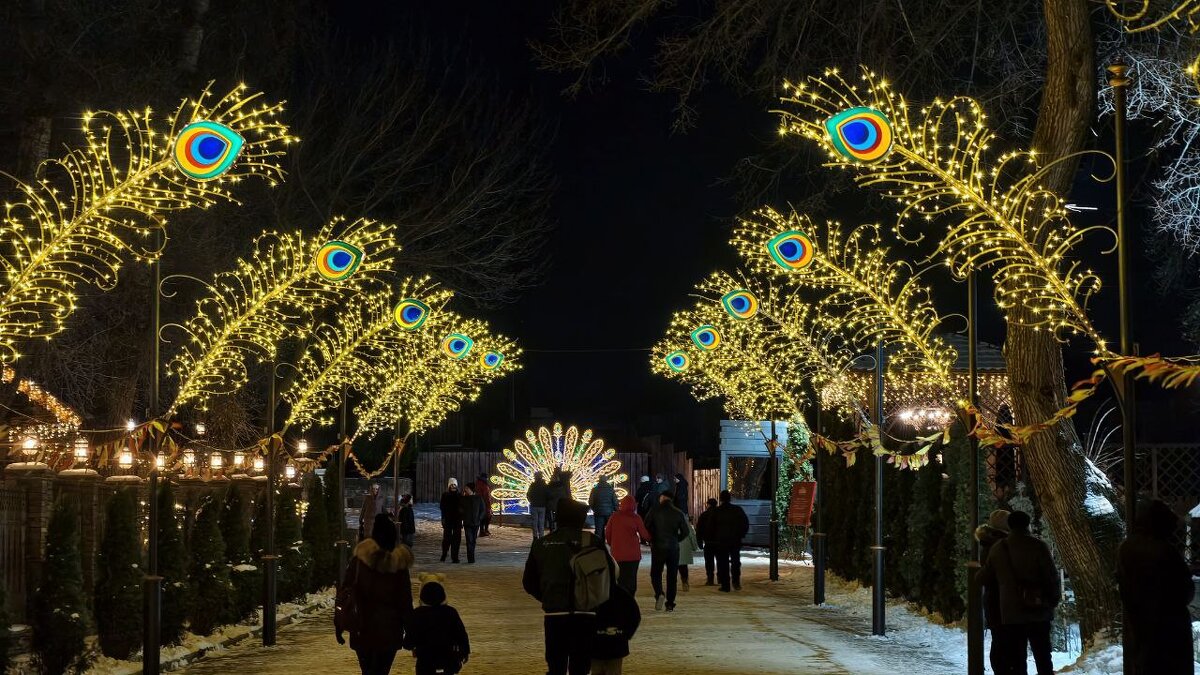 Вечерний парк Лога - Мариша 