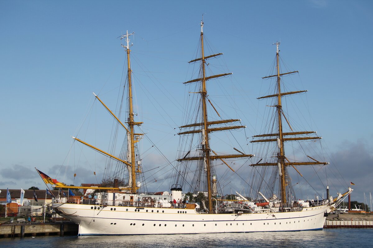 Из семейства барков - В.И 