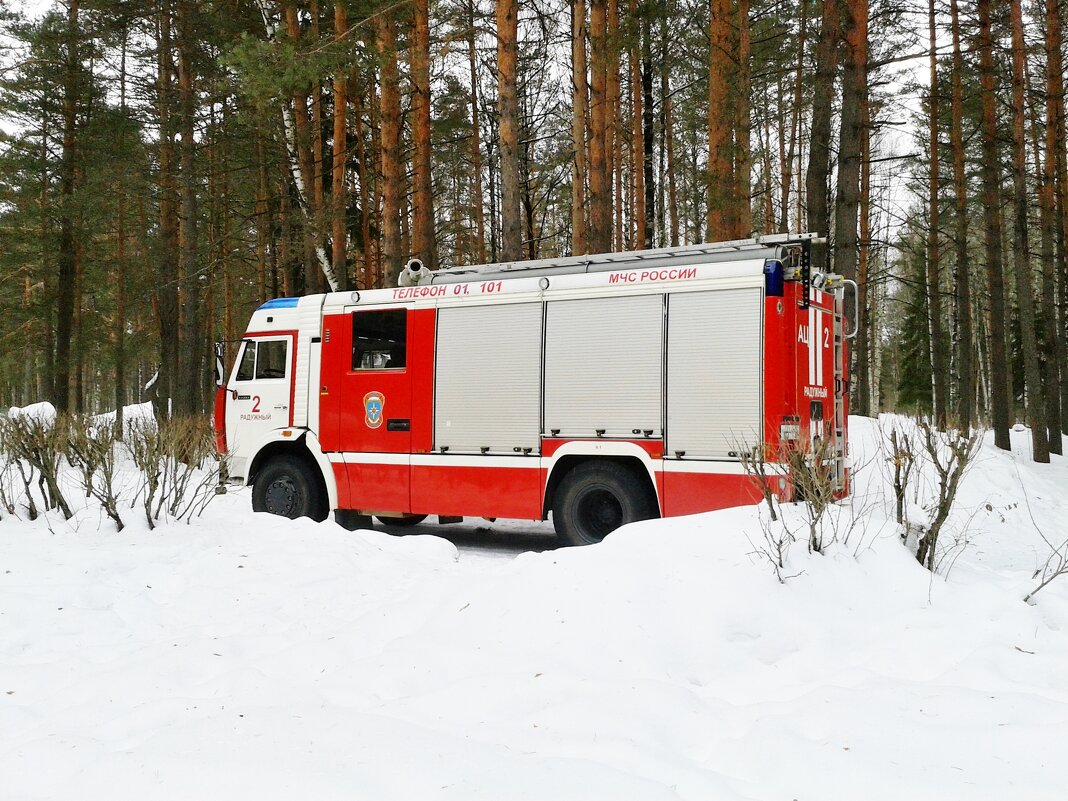 снег  пожарная машина деревья - Владимир 