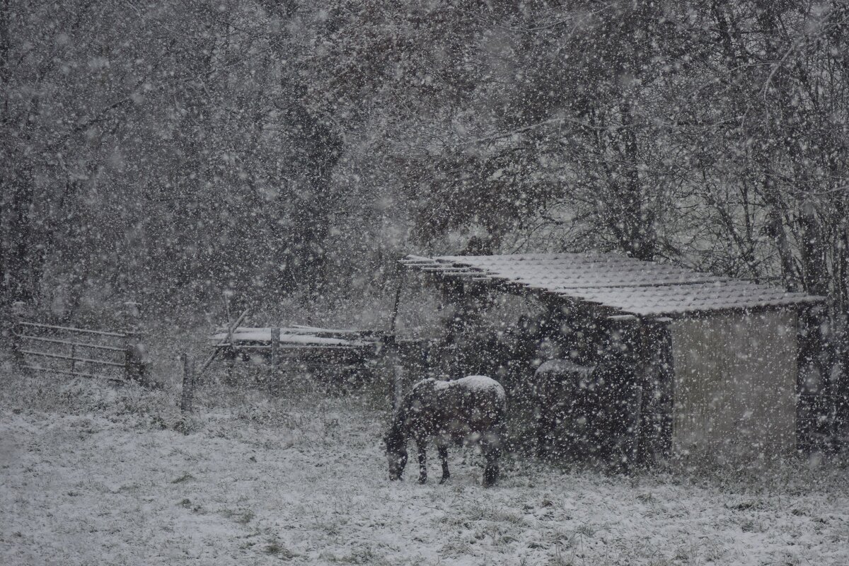 Нашествие белых мух - XX 74