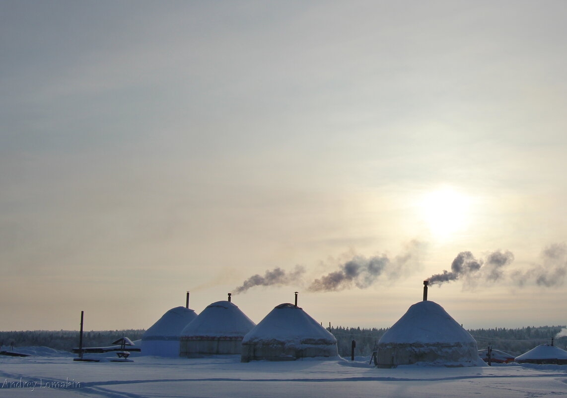 Зимний день - Andrey Lomakin Зимний день - Andrey Lomakin