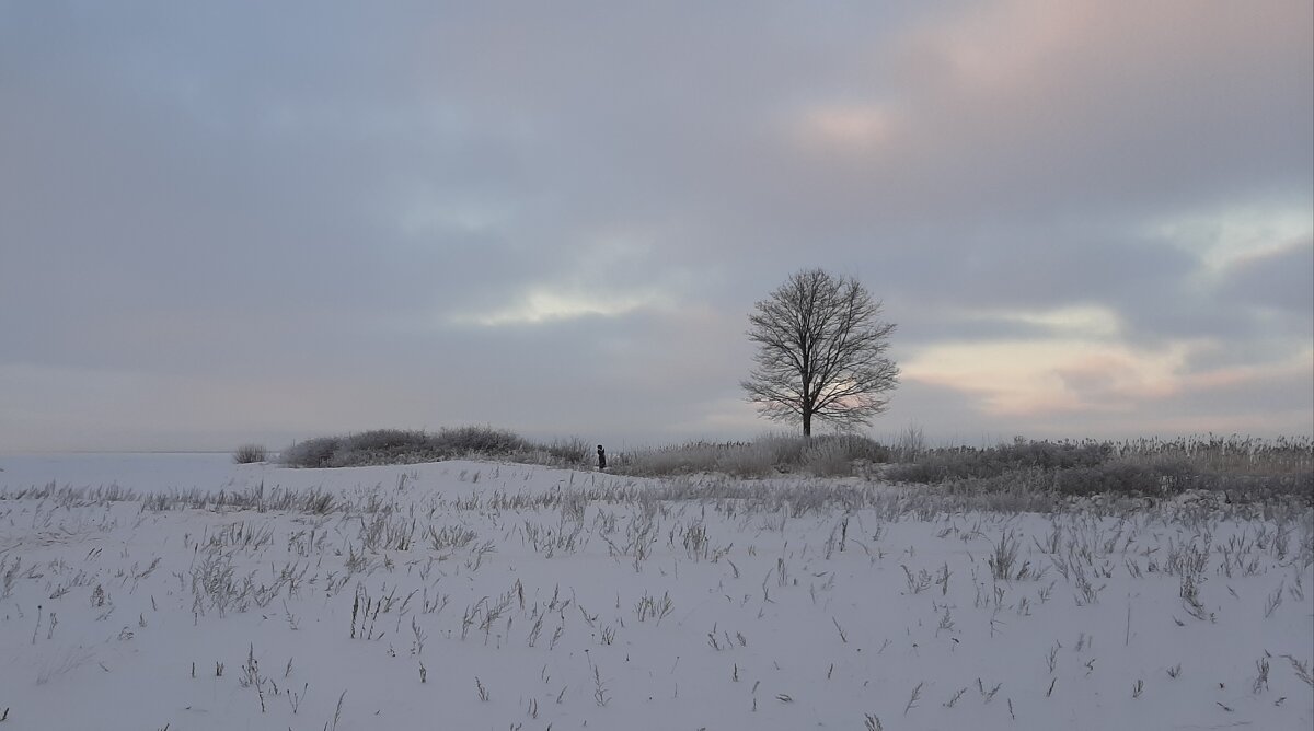 Зимой на заливе - Наталья Герасимова
