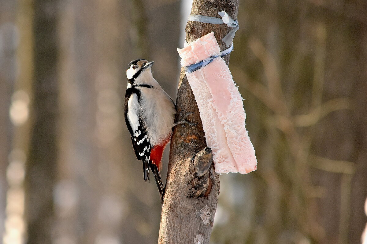Большой - Алексей . Большой - Алексей .