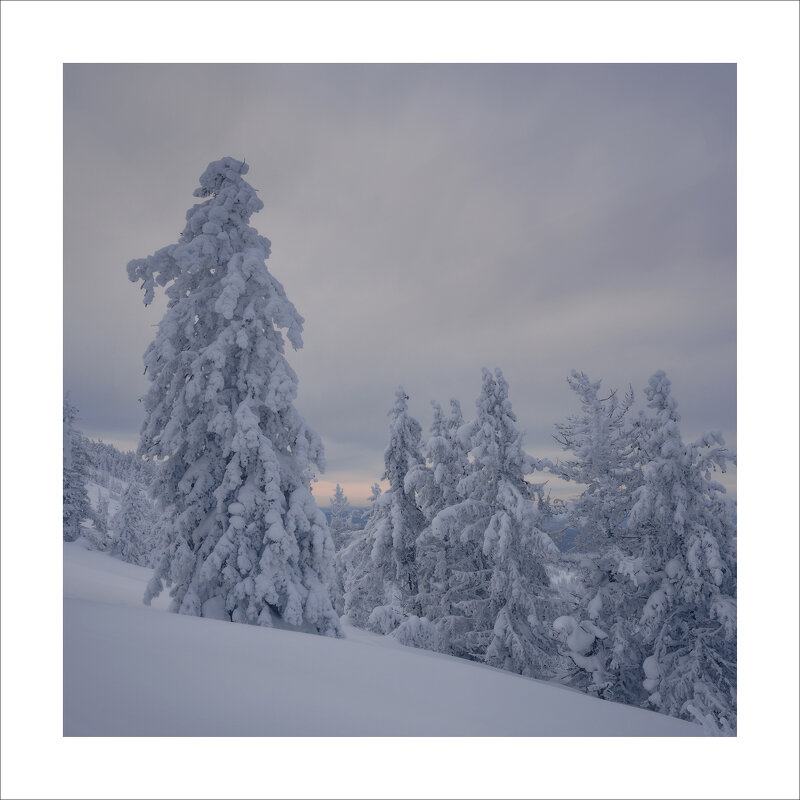 * - Александр Иванов