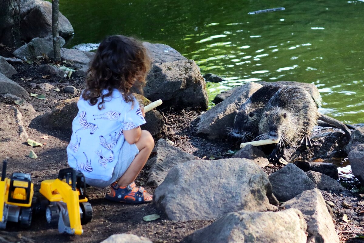 Сейчас я вас накормлю - Юрий. Шмаков Сейчас я вас накормлю - Юрий. Шмаков
