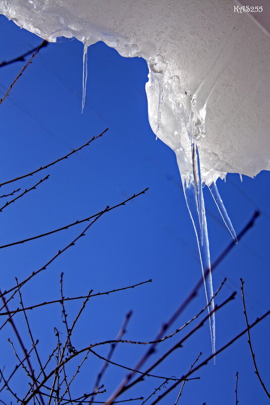 Я ещё вырасту - Александр 