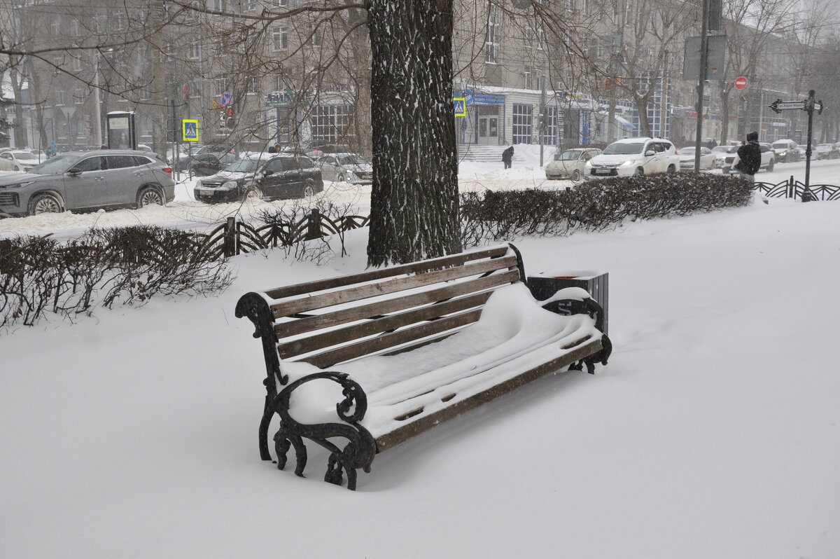 Зимняя скамейка - Татьяна Машошина