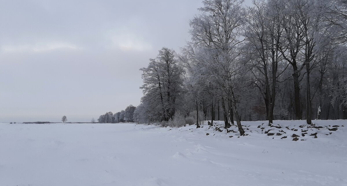 *** - Наталья Герасимова