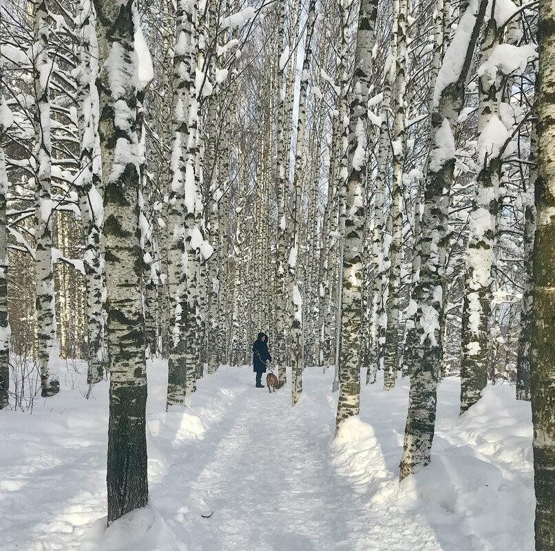 Морозный день - Татьяна 