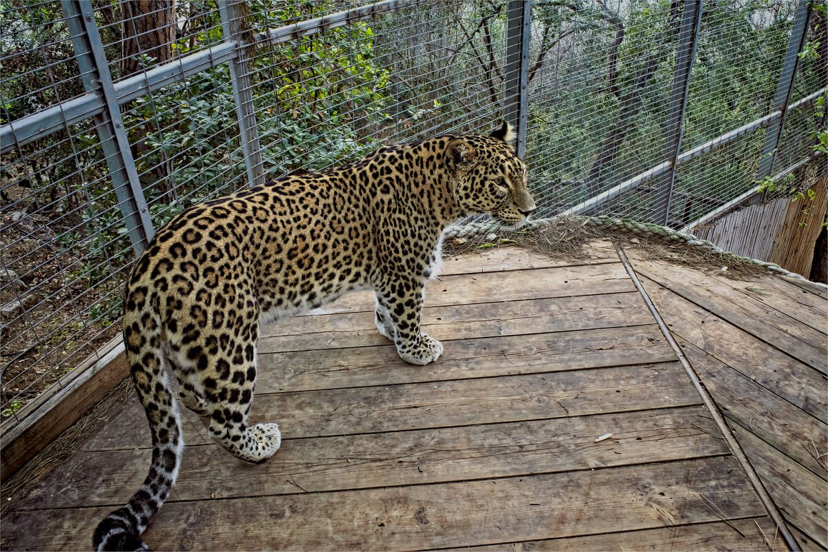 Зоопарк  в Хайфе   02,02,2026г - ujgcvbif 