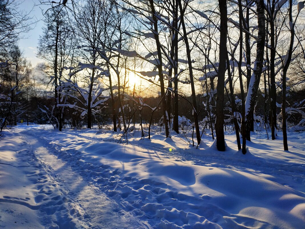 Зима продолжается - Андрей Лукьянов