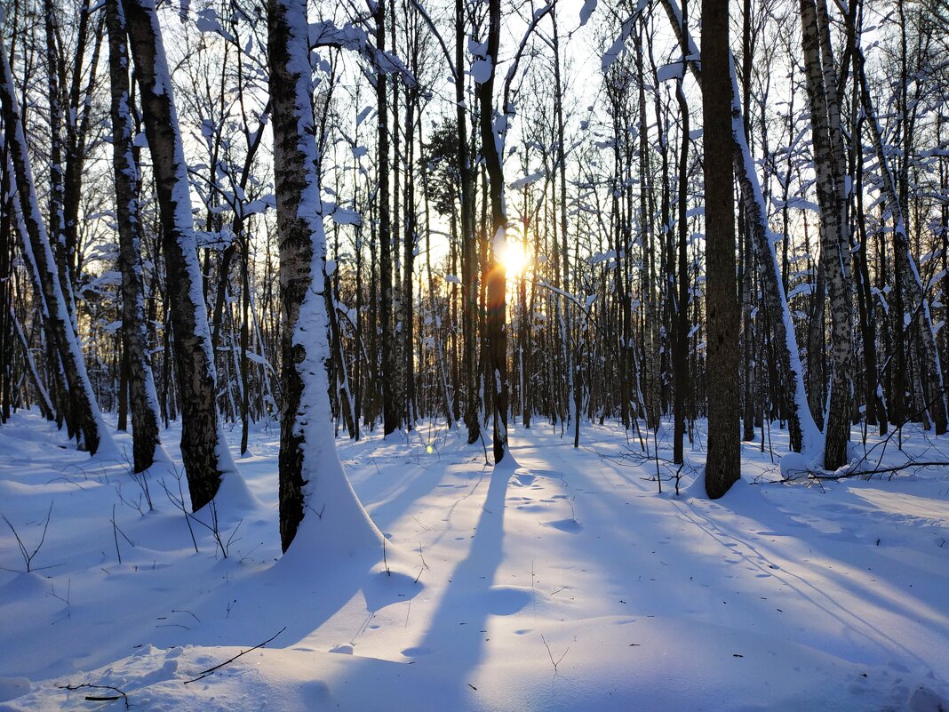 Зима продолжается - Андрей Лукьянов