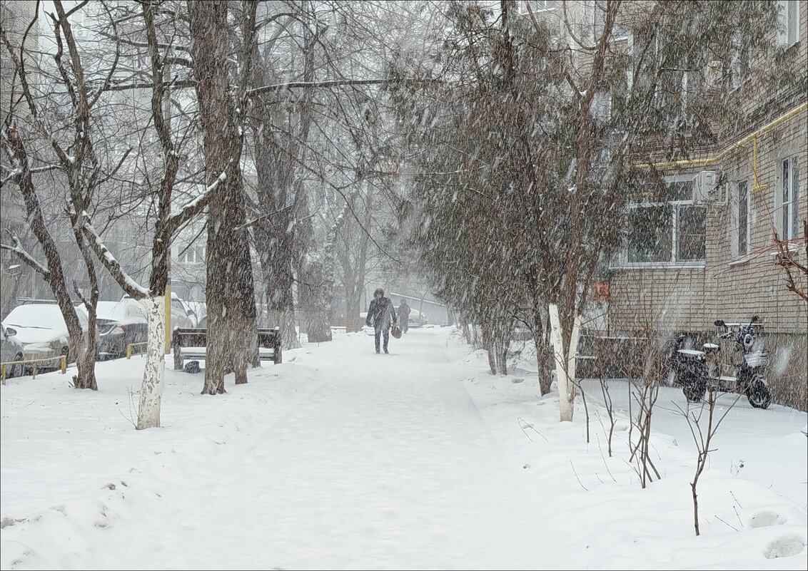 Завьюжило! - Надежда 