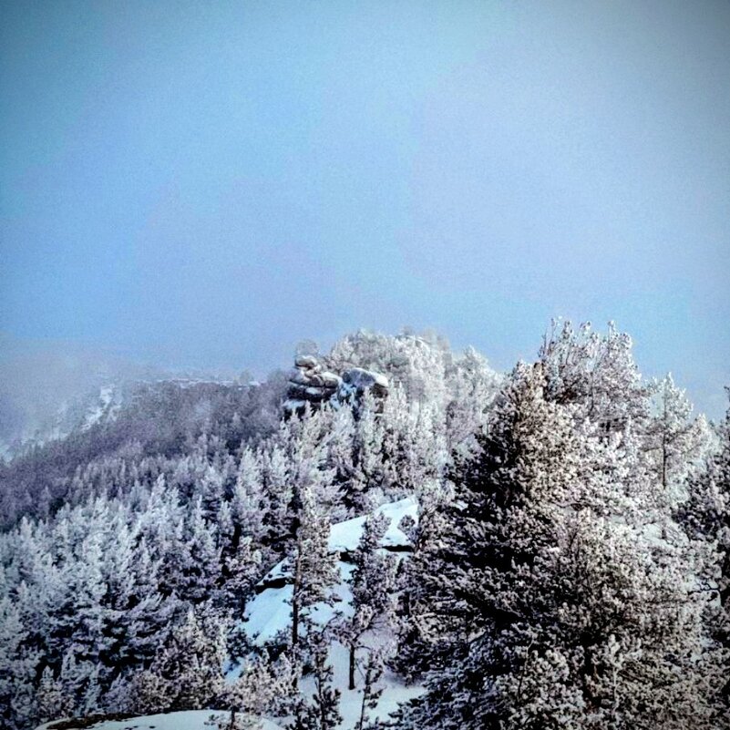 Горы в снегах - Георгиевич 