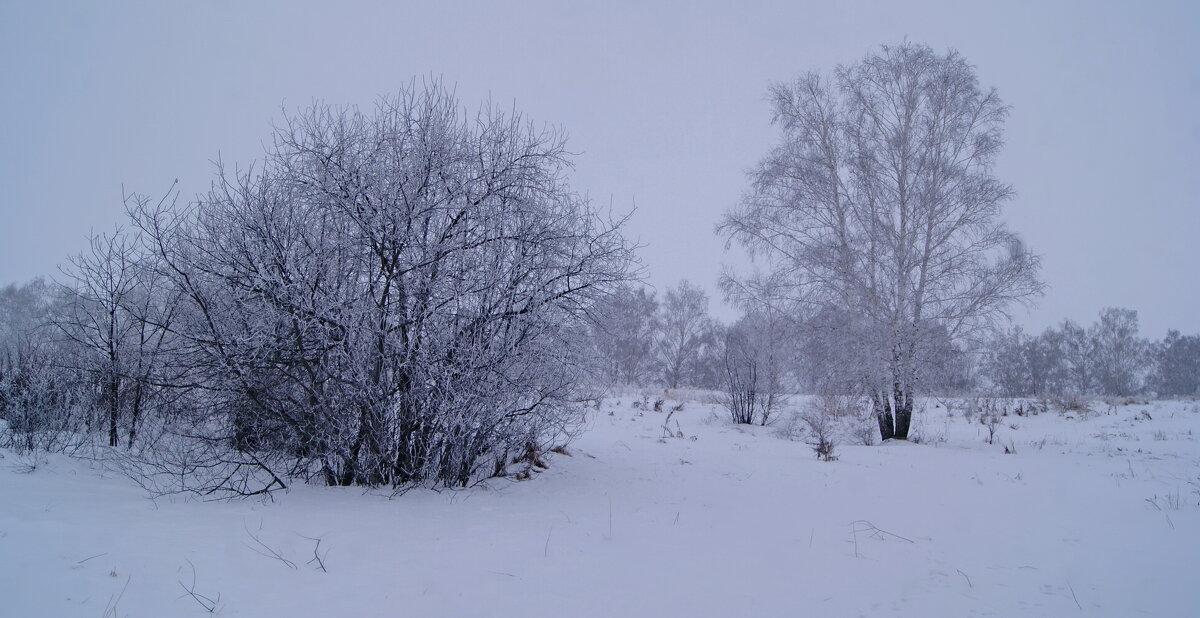 После ночного тумана. - сергей ермошкин После ночного тумана. - сергей ермошкин
