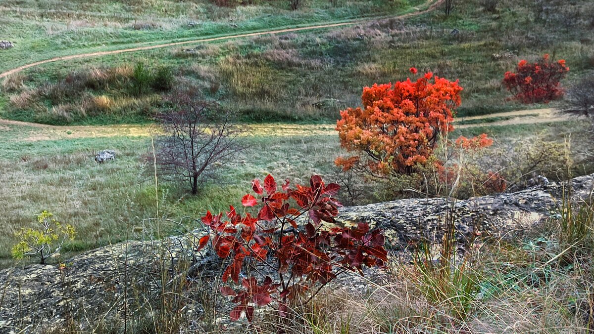 Краски осени - Мариша 