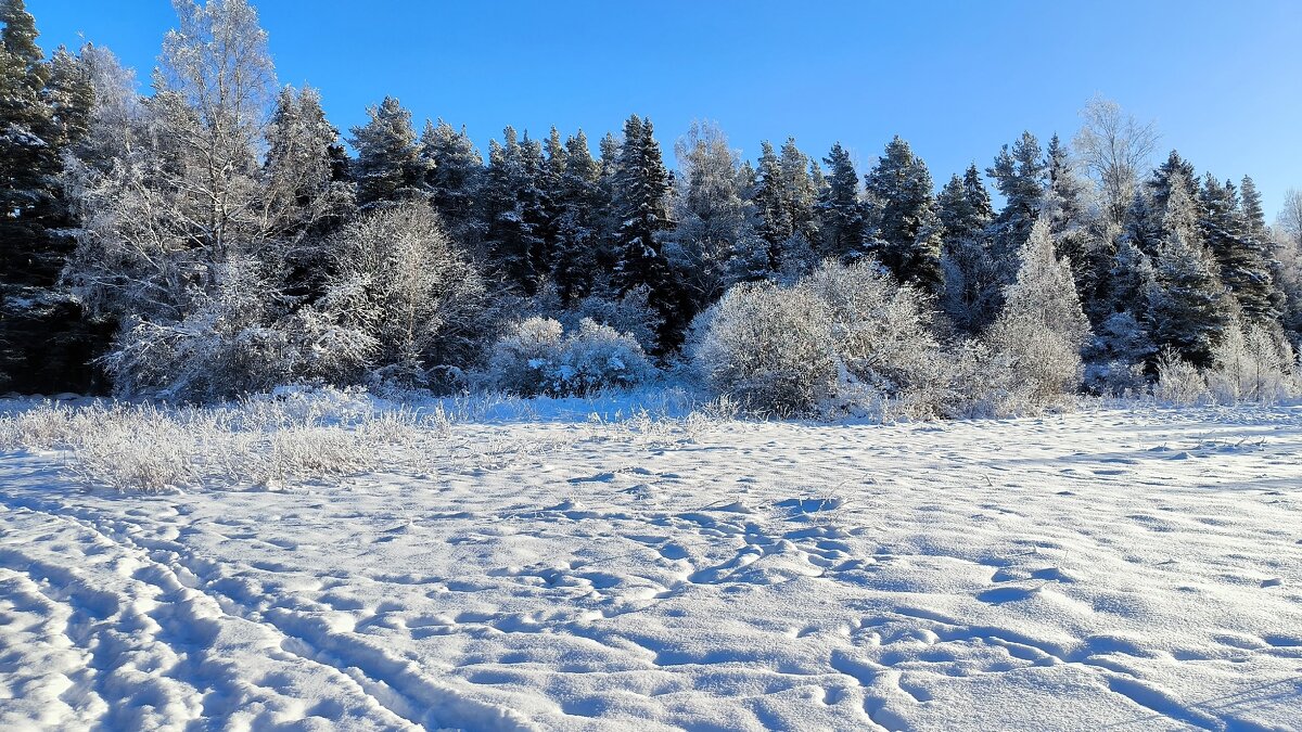 Мороз и солнце! Все, как у поэта. - Ольга Мороз и солнце! Все, как у поэта. - Ольга