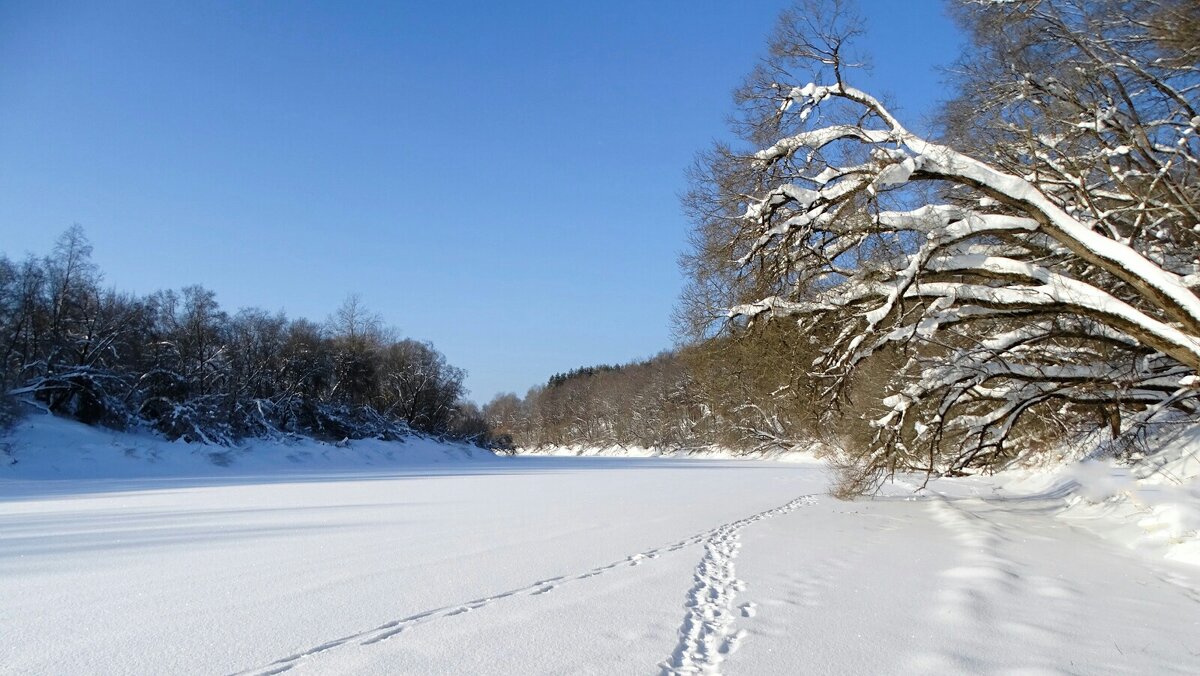 Днепр в феврале. - Милешкин Владимир Алексеевич 