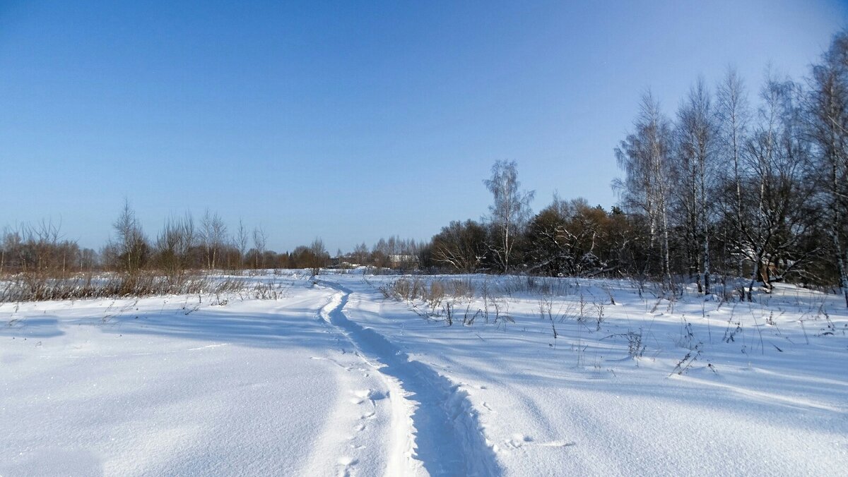 Зимний пейзаж. - Милешкин Владимир Алексеевич Зимний пейзаж. - Милешкин Владимир Алексеевич
