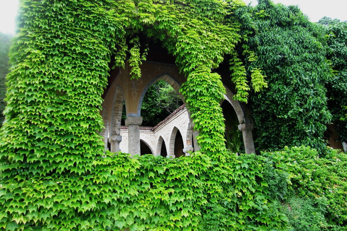 Балчик - Натали 