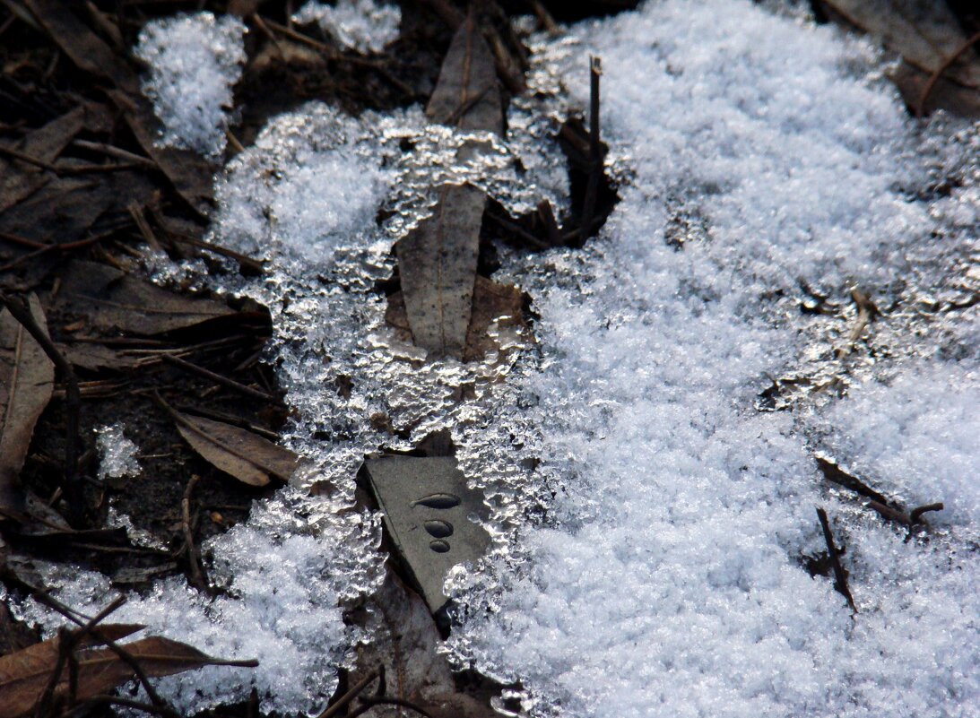 "Февраль...Достать чернил и плакать..." Б.Пастернак - Syntaxist (Светлана)