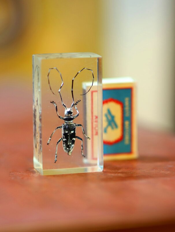 Z - Андрей Л. В.