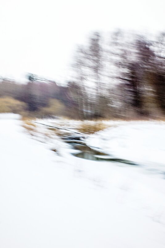 * - Сергей Полянский