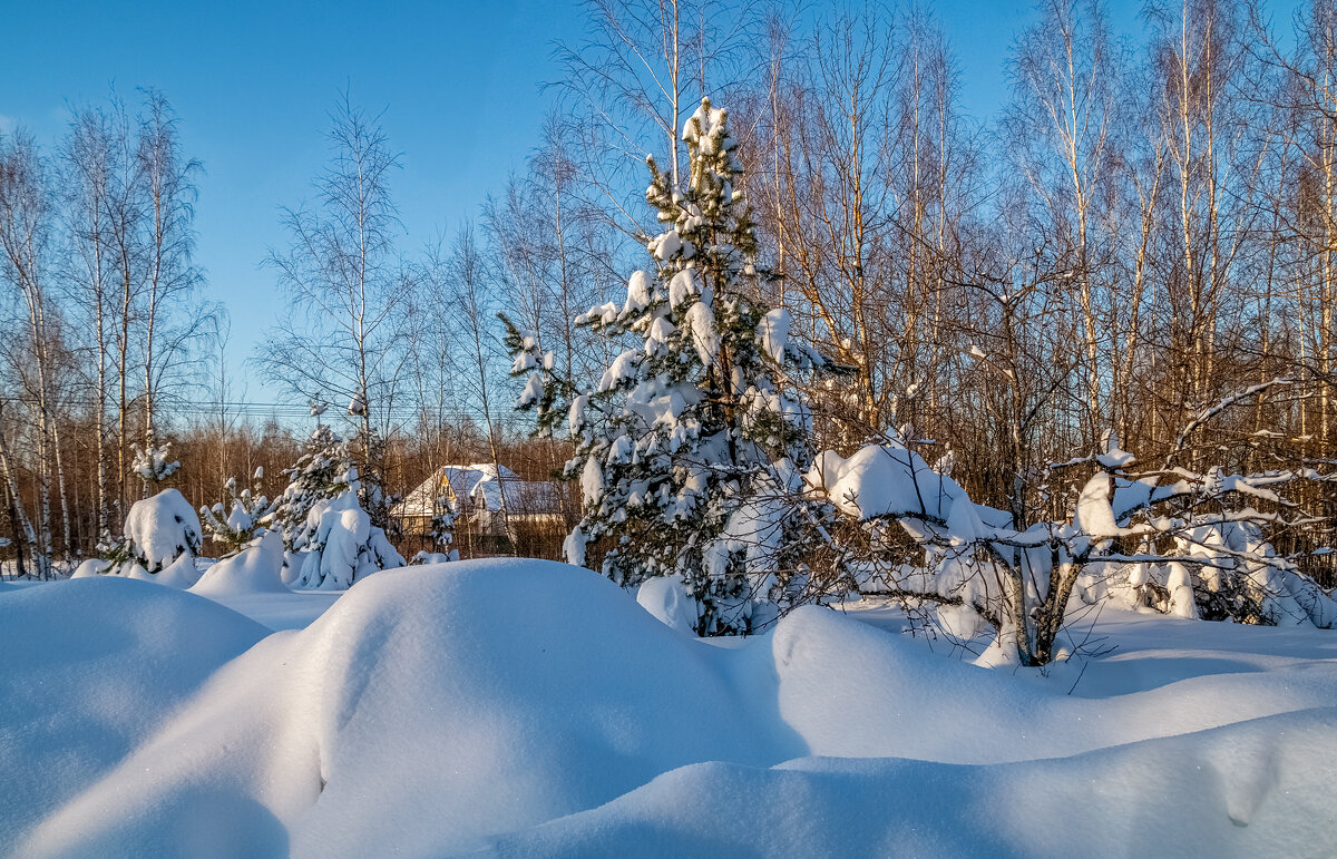 Январский вечер 2 - Андрей Дворников