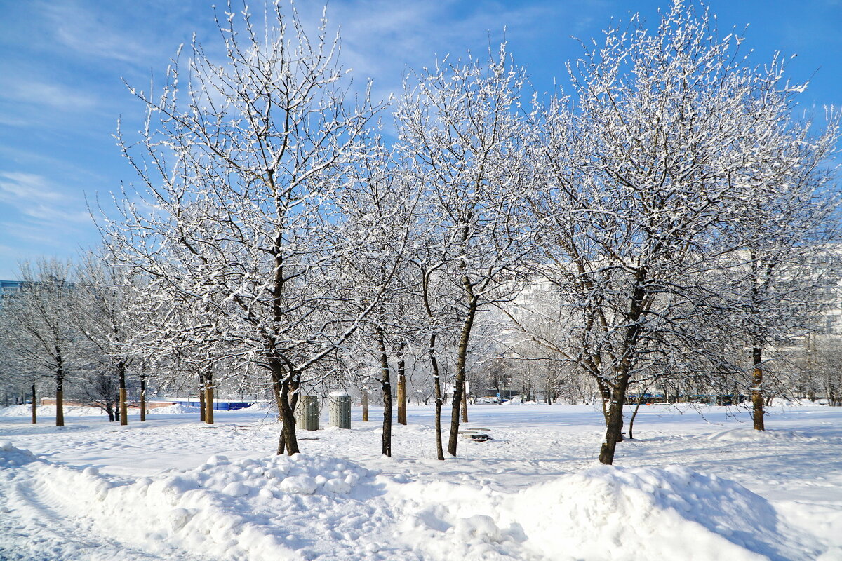 Московская зима - Юрий Шувалов