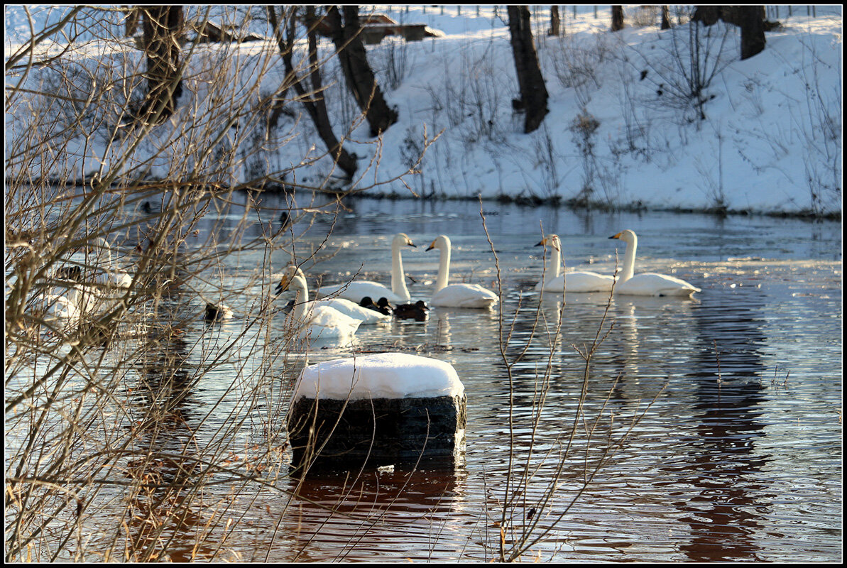 Настало времечко... - Aleksandr Gal
