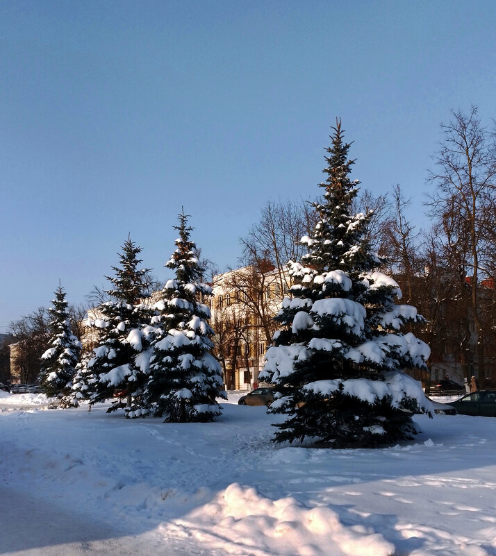 *** - Валентина Береснева