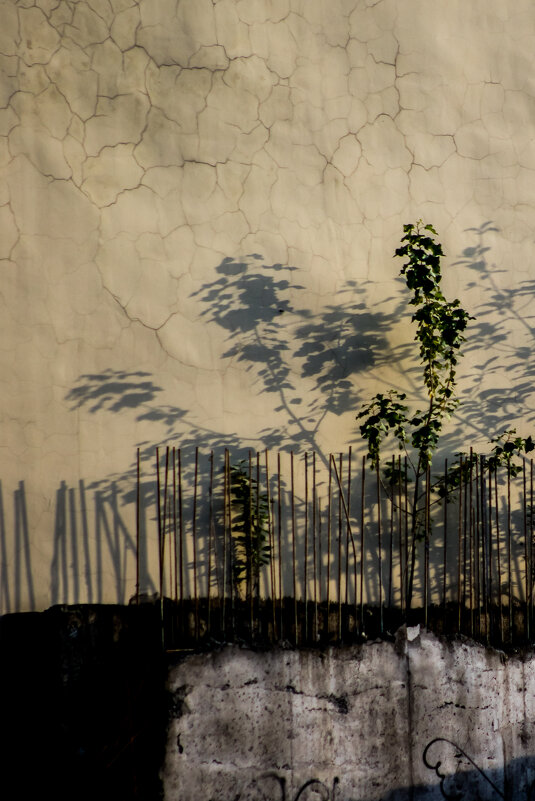 * - Сергей Полянский