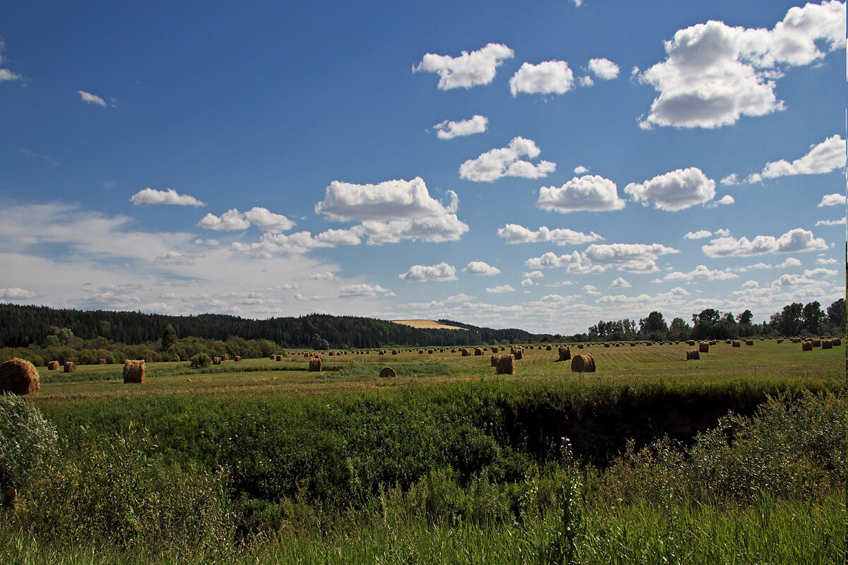 Вятские дали - MILAV V
