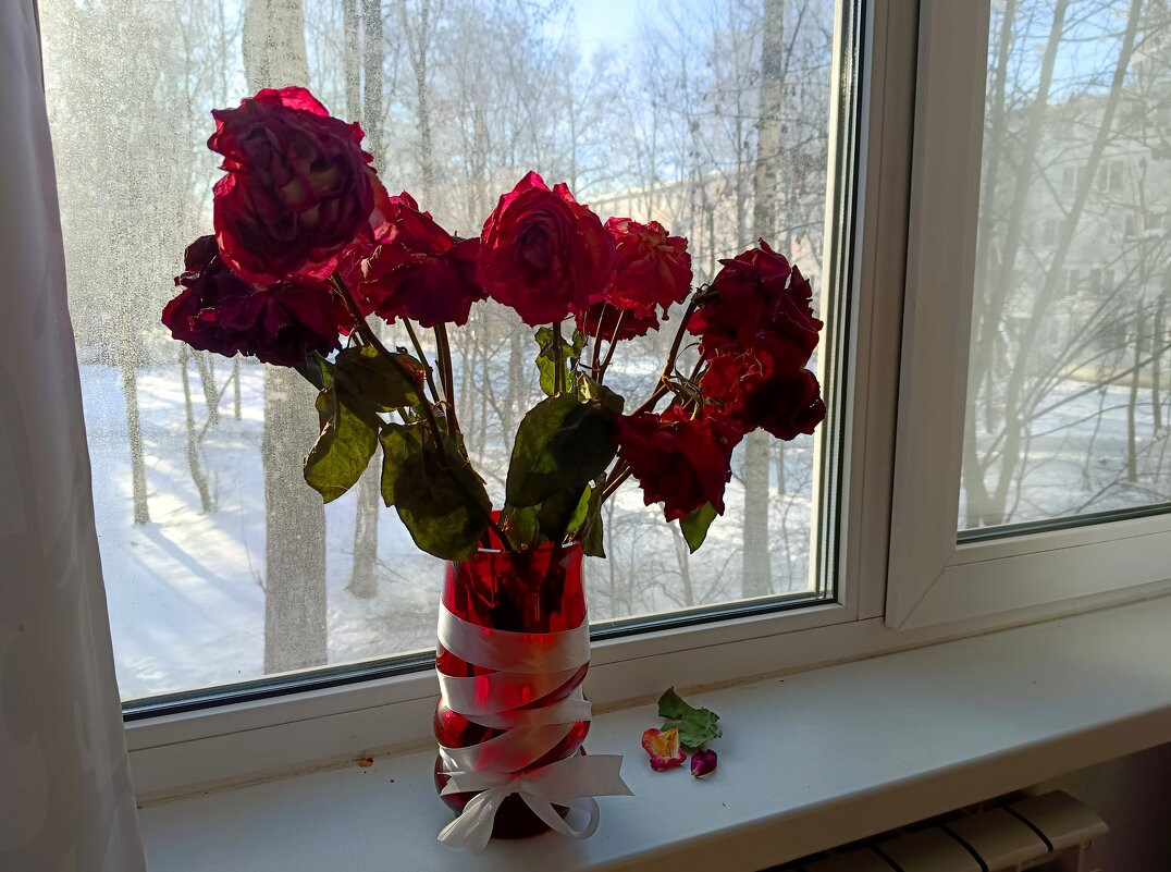 Солнце краем в окно... - Мария Васильева Солнце краем в окно... - Мария Васильева