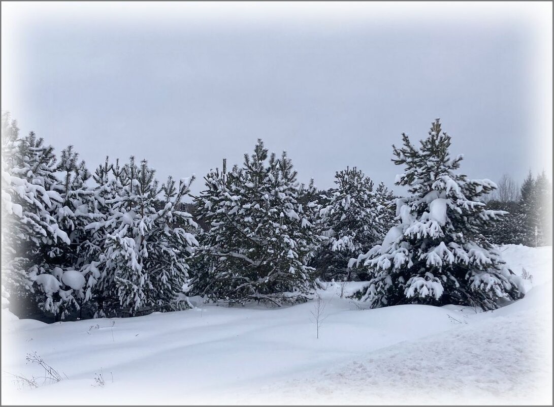 ******* - Валентина Надсон